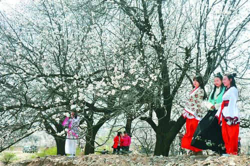 007球探网足球旧版本界面预览